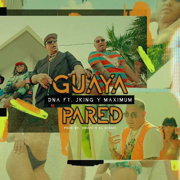 Guaya pared