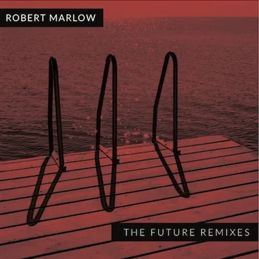The Future Remixes by Robert Marlow - album cover