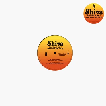 What Does It Take / Never Gonna Give You Up by Shiva - album cover