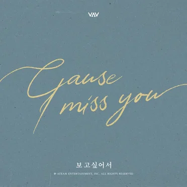 Cause I Miss You