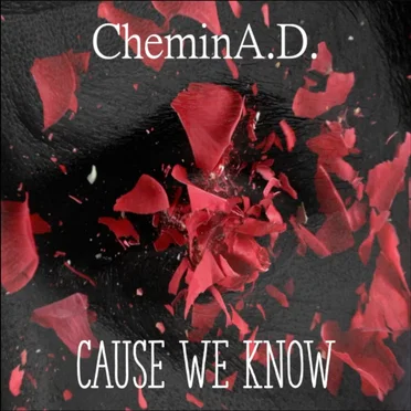 Cause We Know by CheminA.D. - album cover