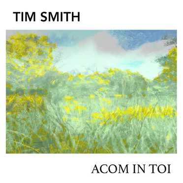 Acom In Toi by Tim Smith - album cover