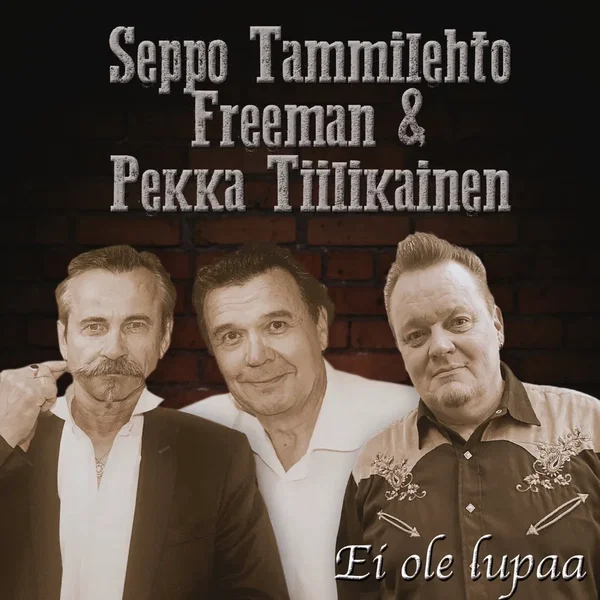 Ei ole lupaa