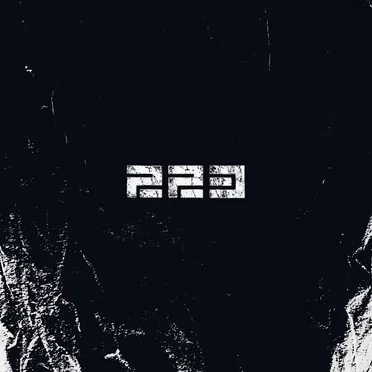 223