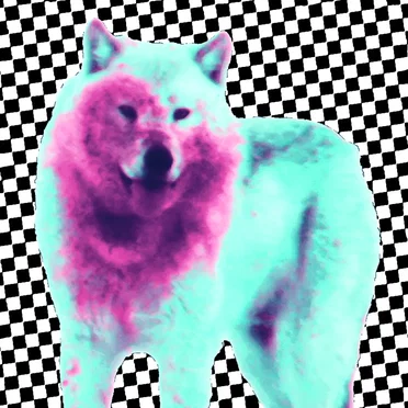 THE WOLVES by Biddy Fox - album cover