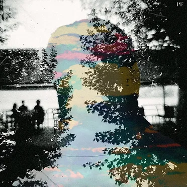 Evergreen by Plastic Flowers - album cover