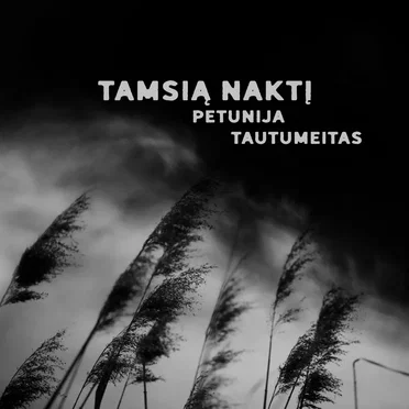 Tamsią naktį