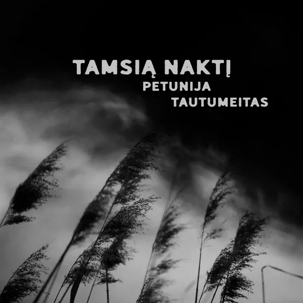 Tamsią naktį