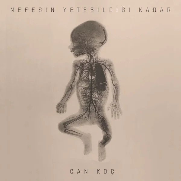Nefesin Yetebildiği Kadar