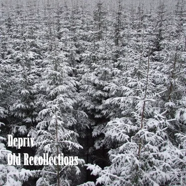 Old Recolletions by Depriv - album cover