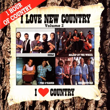 I Love New Country Volume 2 by Various Artists - album cover