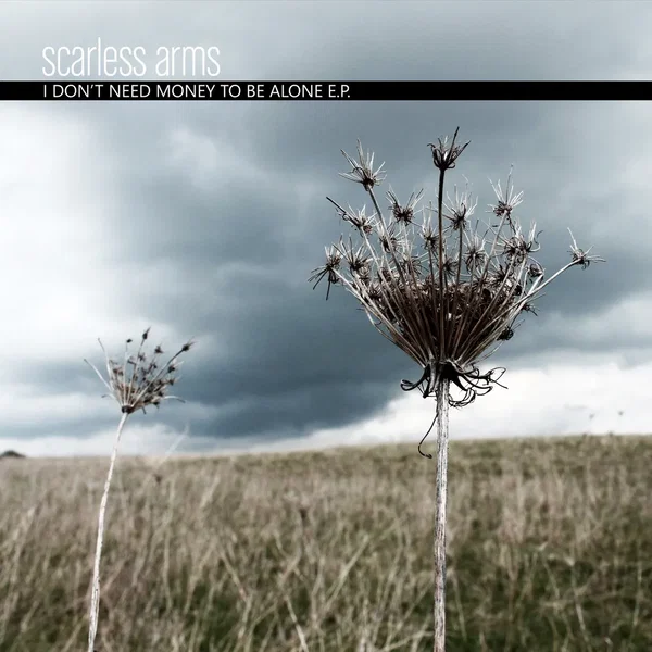 I Don’t Need Money to Be Alone E.P.