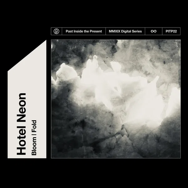 Bloom | Fold