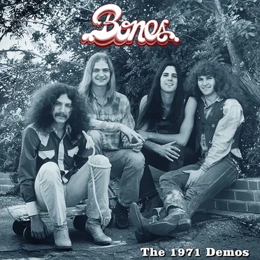 The 1971 Demos