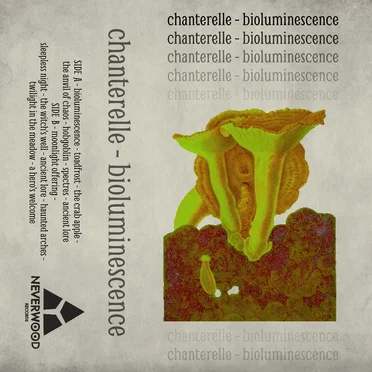Bioluminescence by Chanterelle - album cover