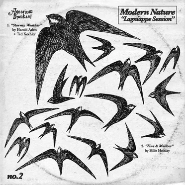 Lagniappe Sessions (Second Session) by Modern Nature - album cover