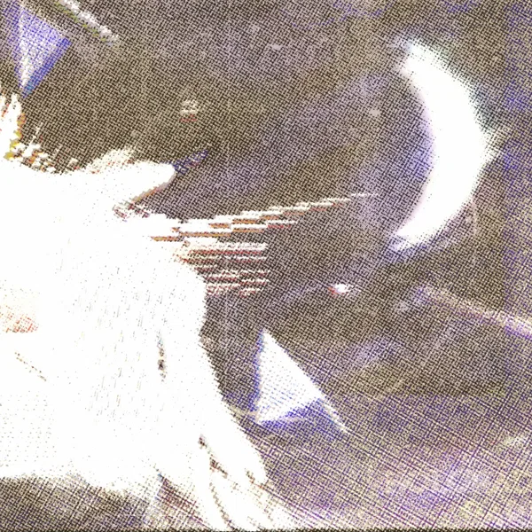 HOLORADICAL RAPTURE