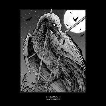 Descension by Through The Canopy - album cover