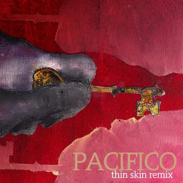 Thin Skin Remix
