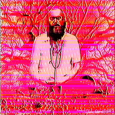 Ram Dass’ bad trip / Hugging the trees