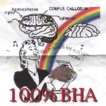 100% BHA by Butthead Astronomers - album cover
