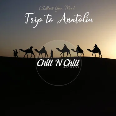 Trip to Anatolia (Chillout Your Mind) by Various Artists - album cover
