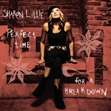 Perfect Time for a Breakdown by Sharon Little - album cover
