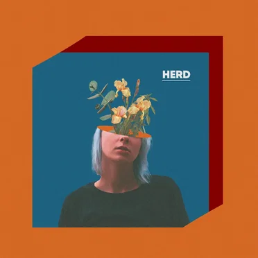hivill by HERD - album cover