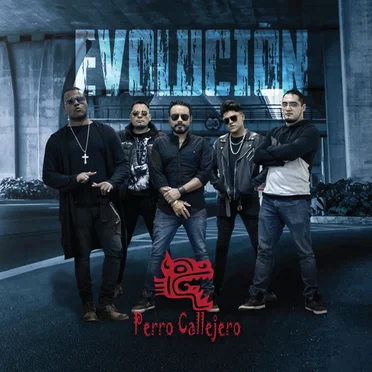 Evolución by Perro Callejero - album cover
