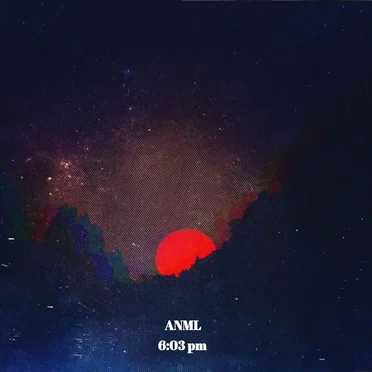 6:03 P.M. by ANML - album cover