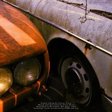 Delusions by Circus Trees - album cover