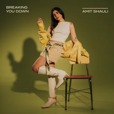 Breaking You Down by Amit Shauli - album cover