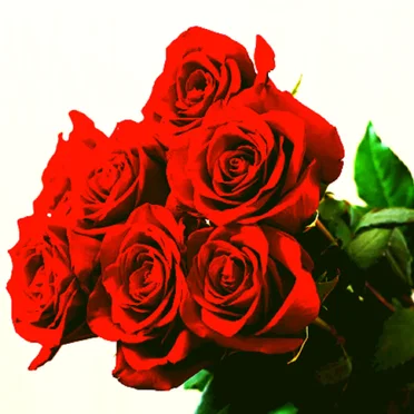 Four Roses EP