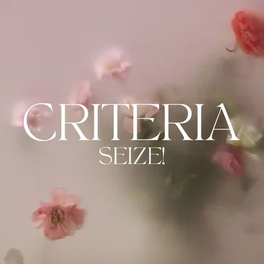 SEIZE! by Criteria - album cover
