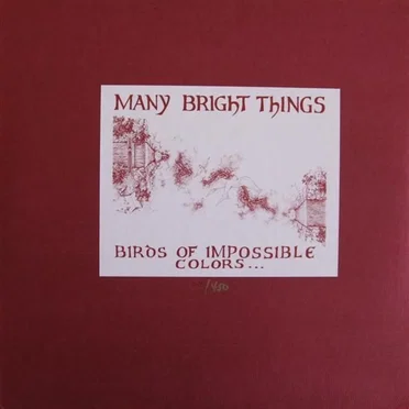Birds Of Impossible Colors (Swim In An Open Sky) by Many Bright Things - album cover