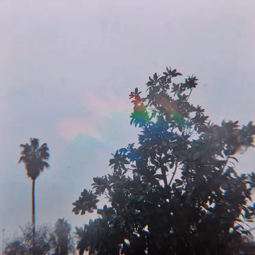 Acid Rain