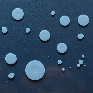 SPORES (For Blake Edwards)