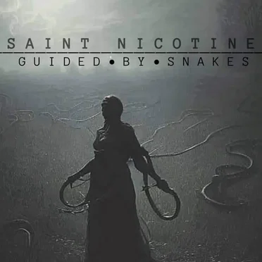 Guided by Snakes