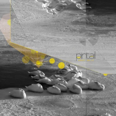 EICV7" No. 17 by Pintail - album cover