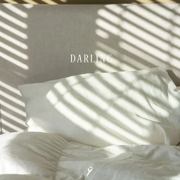 ÿ mix series vol 11. DARLING