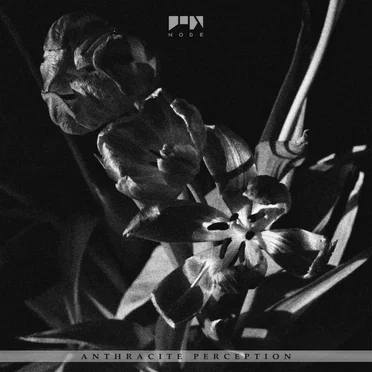 Anthracite Perception by Various Artists - album cover