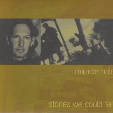 Stories We Could Tell