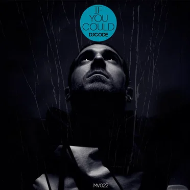 If You Could EP by DJ Code - album cover