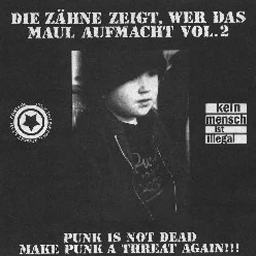 Die Zähne zeigt, wer das Maul aufmacht Vol. 2 by Various Artists - album cover