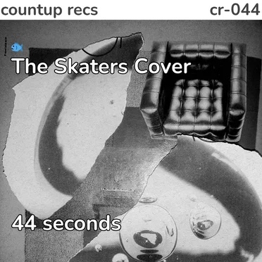 The Skaters Cover by 🐟 - album cover