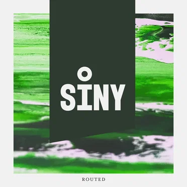 Routed by SINY - album cover