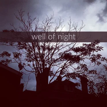 Well of Night