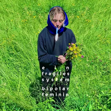 Ein fragiles System by Bipolar Feminin - album cover