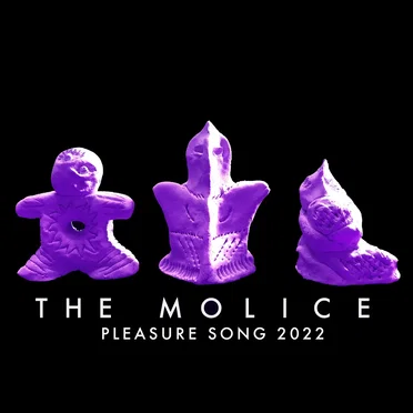 Pleasure Song (2022 Ver.)