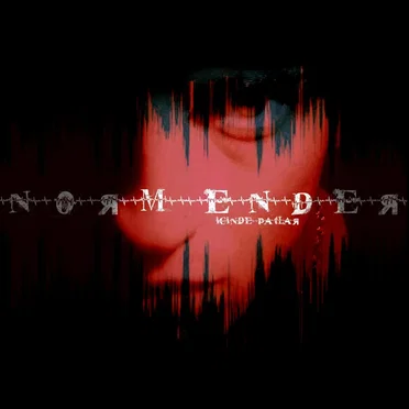 İçinde Patlar by Norm Ender - album cover